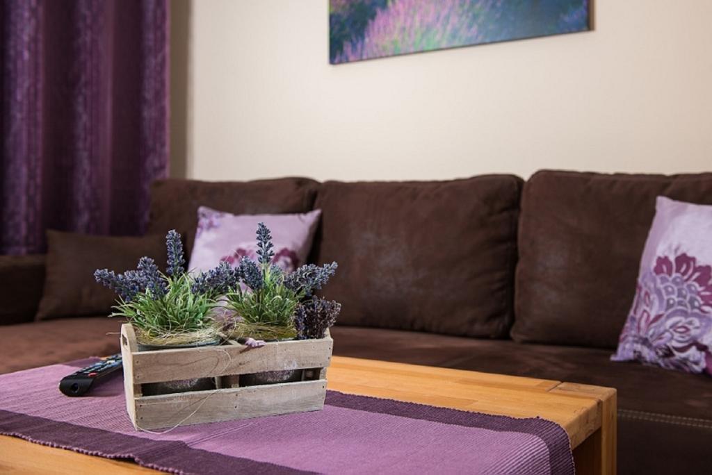 Apartament Fajne Karwia